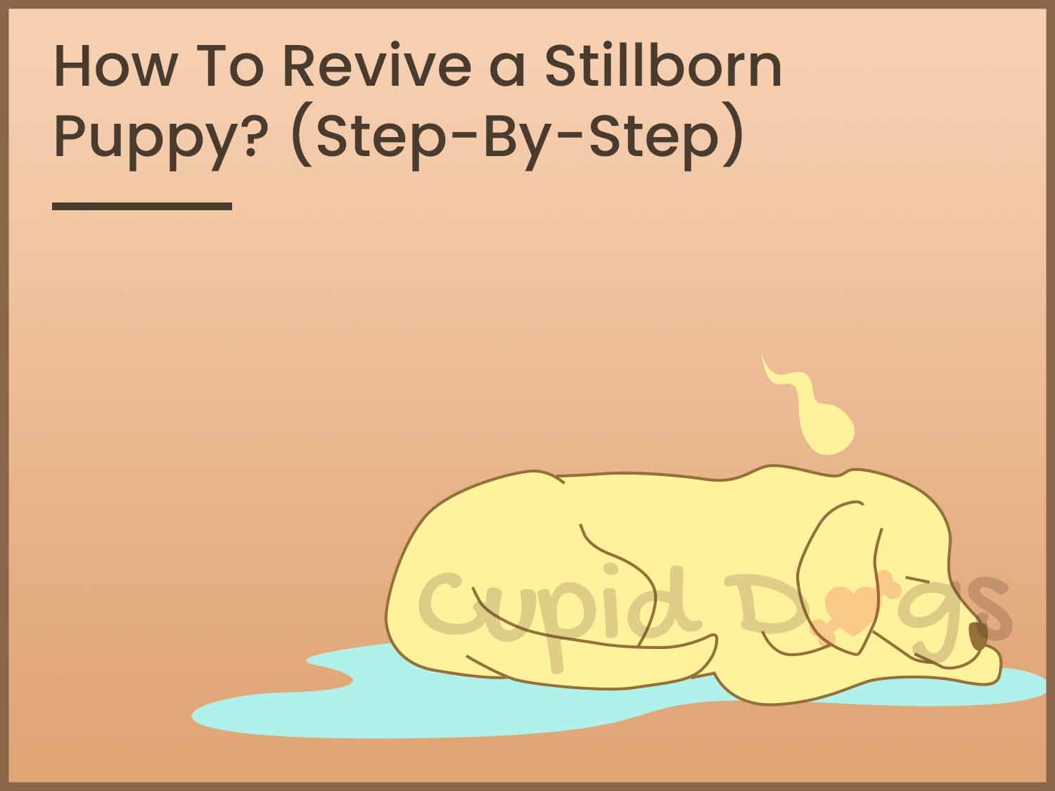 How To Revive a Stillborn Puppy?